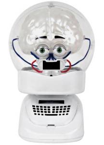 Brian shop brain toy