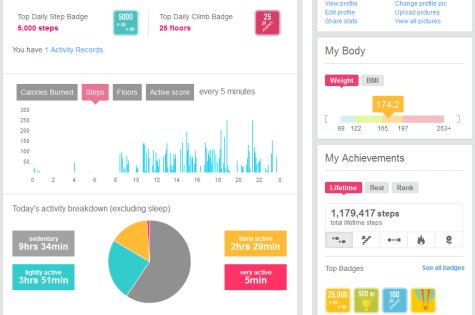 Fitbit Site Screenshot 01