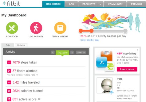 Fitbit Site Screenshot 02