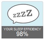 Fitbit Sleep Efficiency