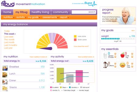 Fitbug website stats