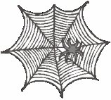 Spider's Web